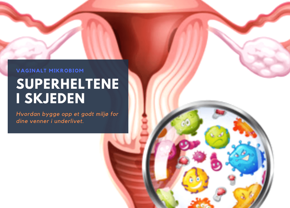 SUPERHELTENE I SKJEDEN (Vaginalt Microbiom)